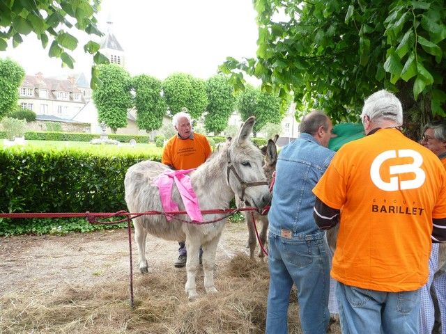 rodho 2013 (3).jpg